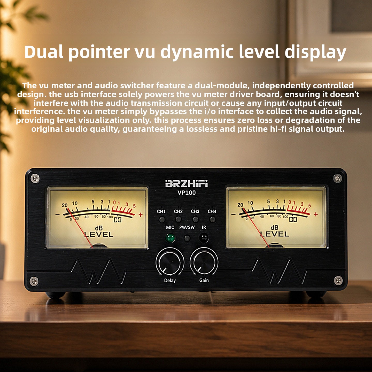 BRZHIFI 2027 新型 VP100 ミュージックレベ - Audio Without Music のレビューと価格