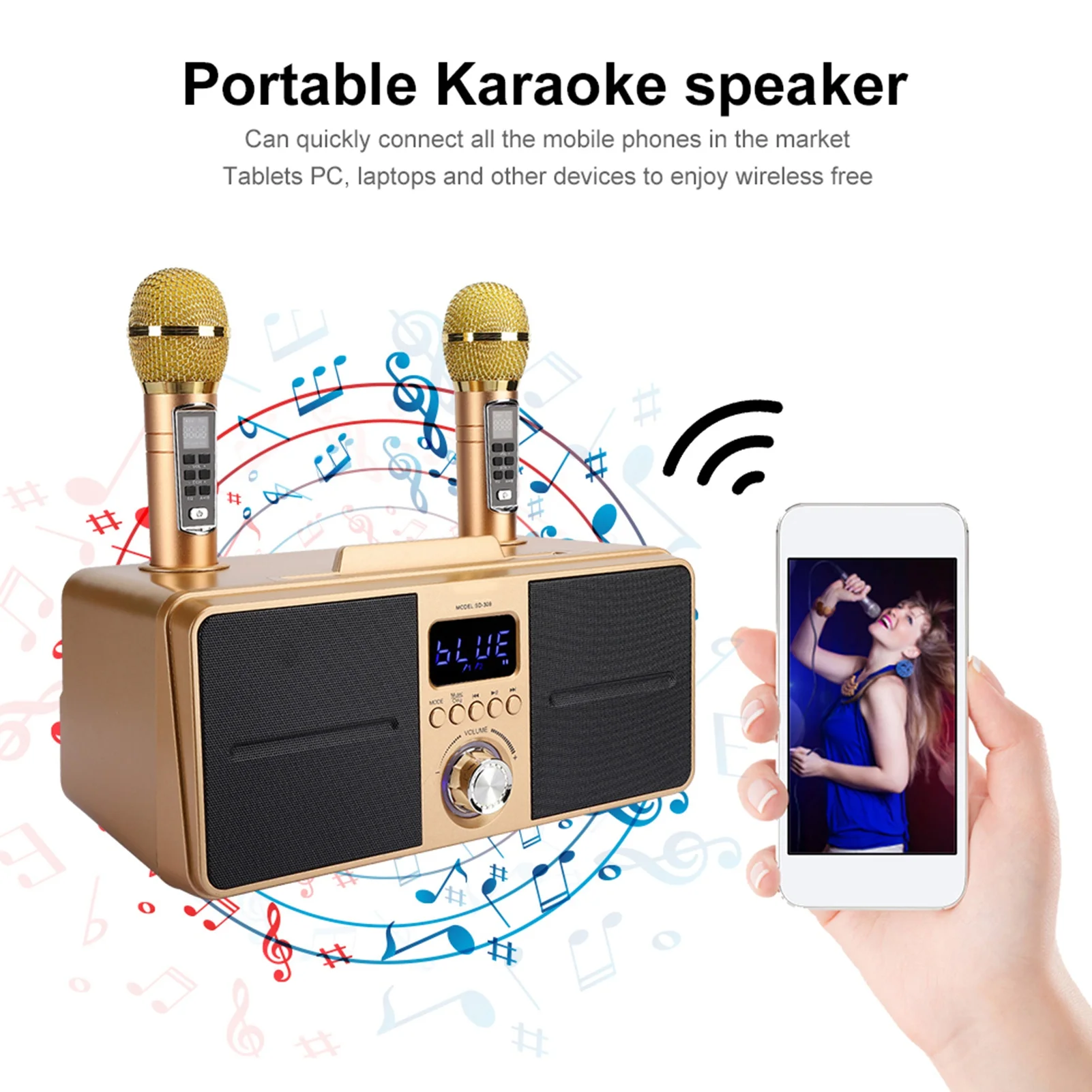 スピーカーファミリー KTV 高品質サウンドキット 統合ワイ - Apple Music Audio Quality のレビューと価格